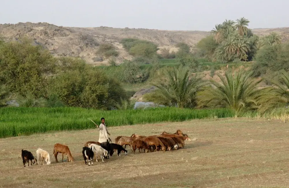 Co to jest Sahel w Afryce? Geografia, klimat i wyzwania tego regionu