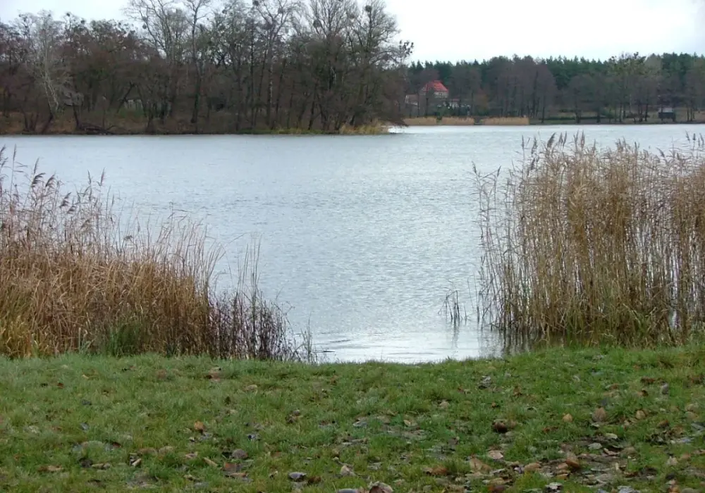 Jezioro Raczyńskie: atrakcje, wędkowanie, noclegi i tajemnice przyrody
