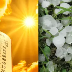 Ekstremalne temperatury: żar słoneczny i grad na trawie. Czy w Afryce jest tyle stopni?