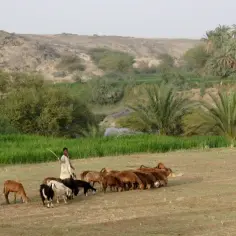 Co to jest Sahel w Afryce? Geografia, klimat i wyzwania tego regionu