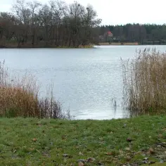 Jezioro Raczyńskie: atrakcje, wędkowanie, noclegi i tajemnice przyrody