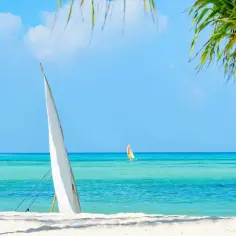 Jaka waluta na Zanzibarze? Sprawdź, czego unikać i co wiedzieć