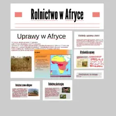 Jakie rośliny uprawia się w Afryce? Najważniejsze uprawy i ich znaczenie