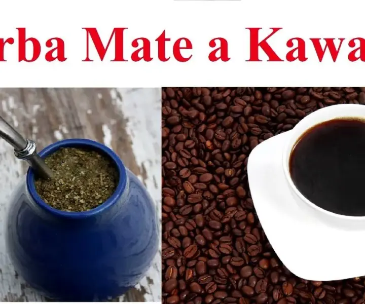 Yerba mate czy kawa – co wybrać dla lepszej koncentracji?