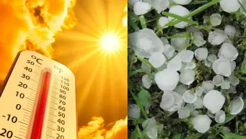 Ekstremalne temperatury: żar słoneczny i grad na trawie. Czy w Afryce jest tyle stopni?