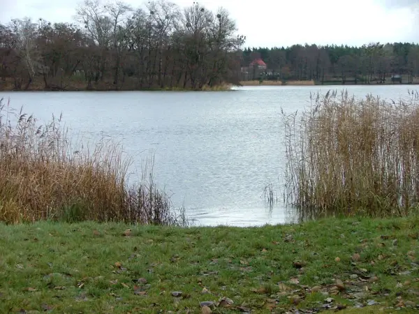 Jezioro Raczyńskie: atrakcje, wędkowanie, noclegi i tajemnice przyrody